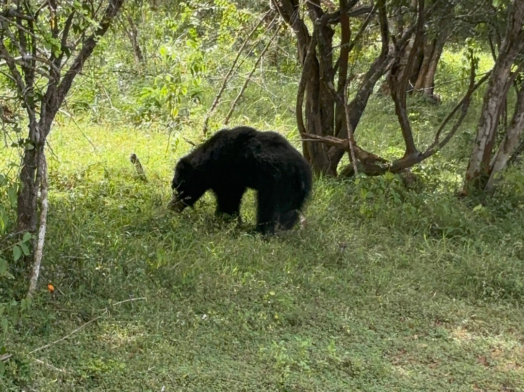Ajith吉普车游猎之旅-蒂瑟默哈拉默必去景点