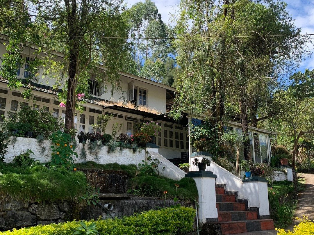 Munnar Holidays-慕那尔必去景点