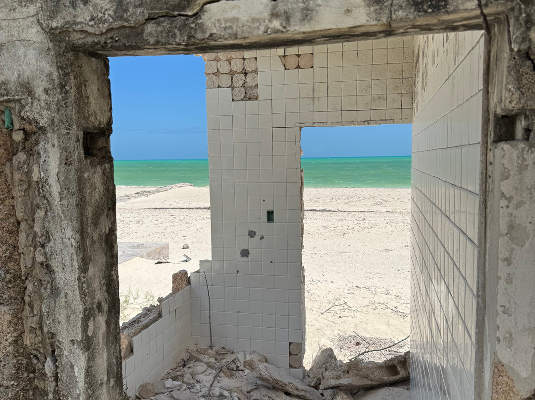 My Holbox Tours-Holbox必去景点