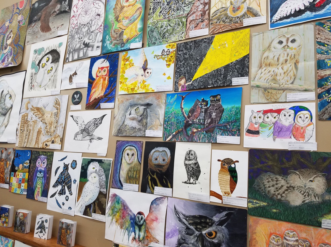 International Owl Center景点图片