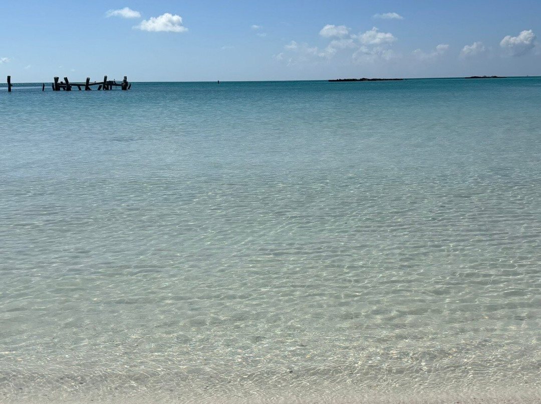 Isla Contoy National Park-Isla Contoy必去景点