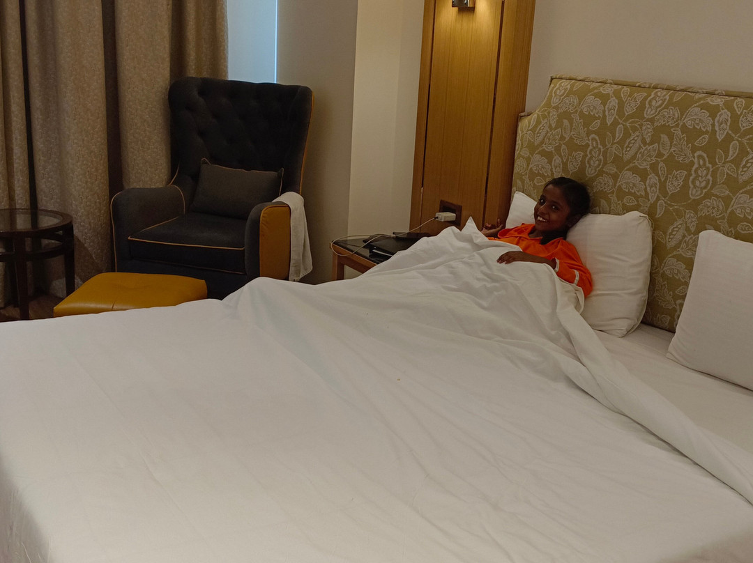 Comfort Hotel Vista主图