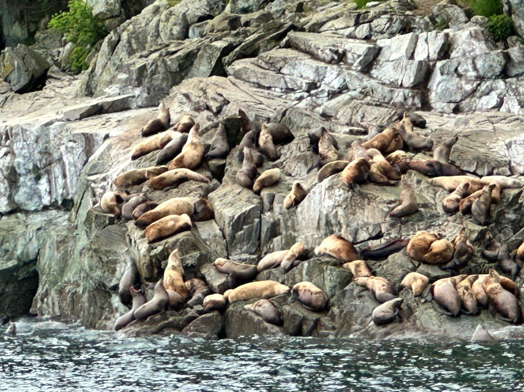 Juneau Lighthouse Tours-朱诺必去景点