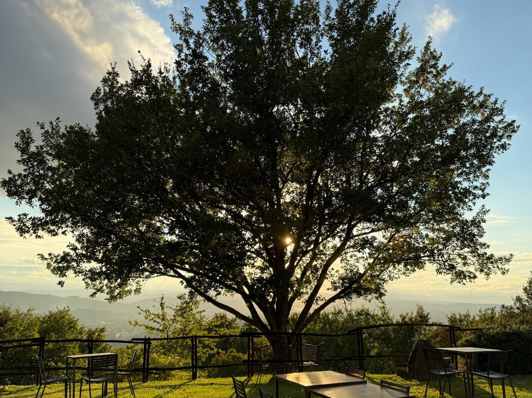 Pomaio - Wines & Hospitality景点图片