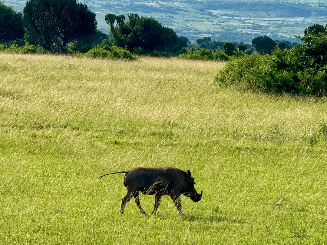 Mukiza Gorilla Expeditions-Kanungu必去景点