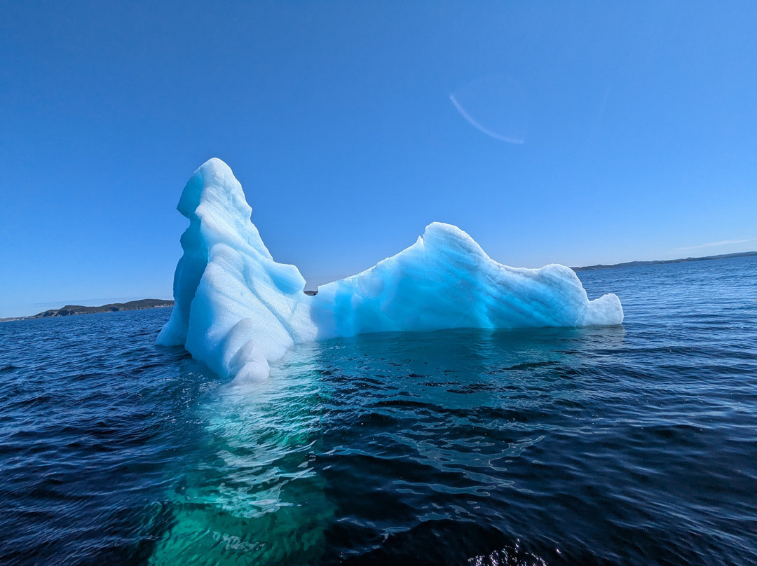 Twillingate Adventure Tours-Twillingate必去景点