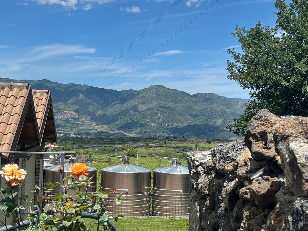 Winery Patria景点图片