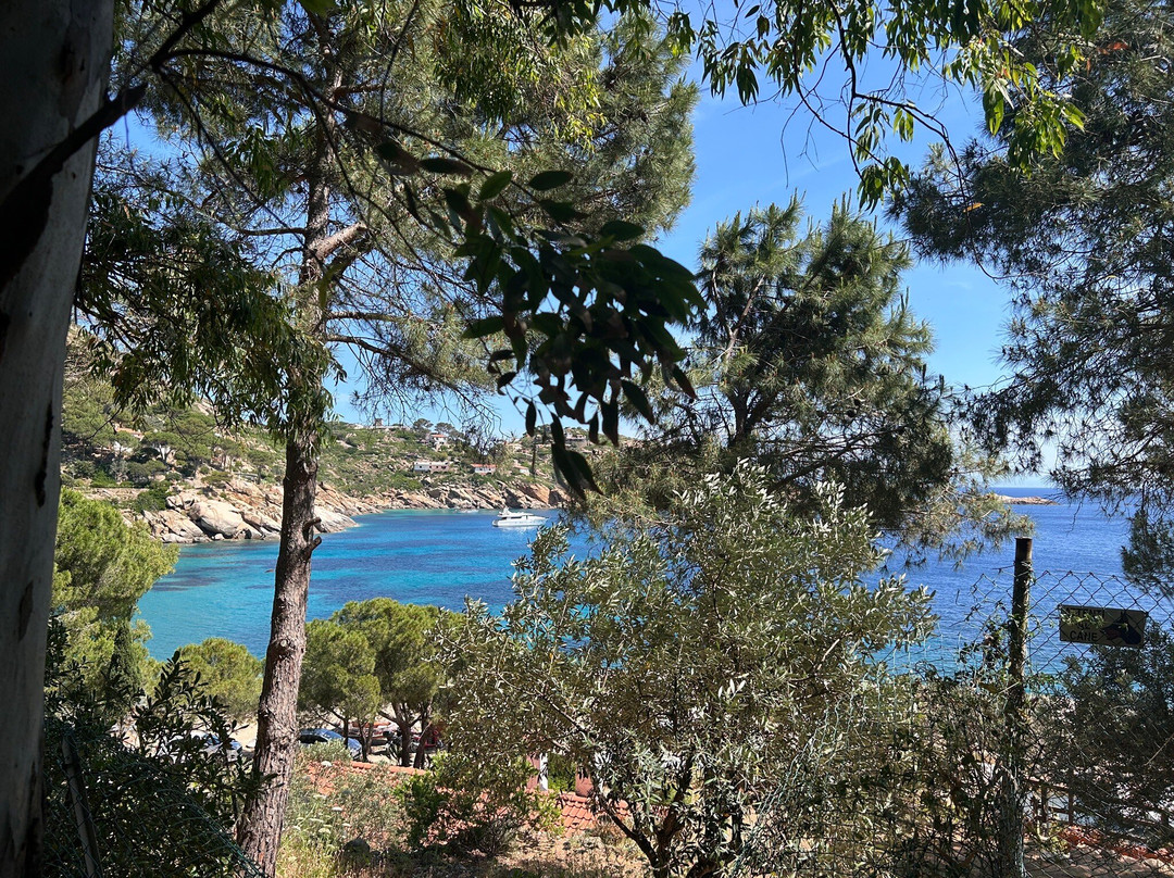 Spiaggia delle Cannelle-Isola del Giglio必去景点