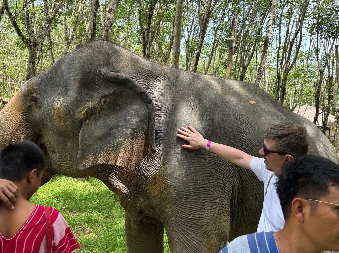 Khaolak Ethical Elephant Sanctuary-拉克山必去景点