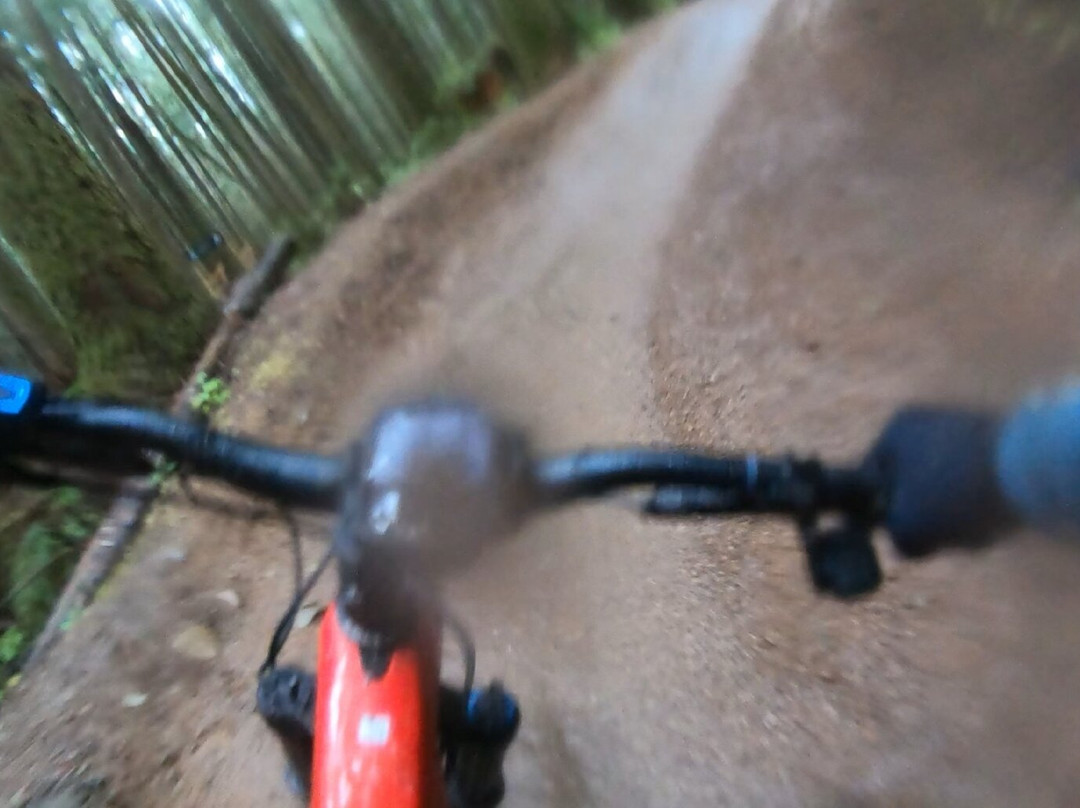 RideHub景点图片