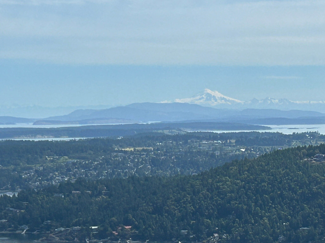 Malahat Skywalk景点图片