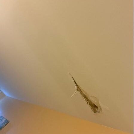 纽约州奥尔巴尼医疗中希尔顿花园酒店主图