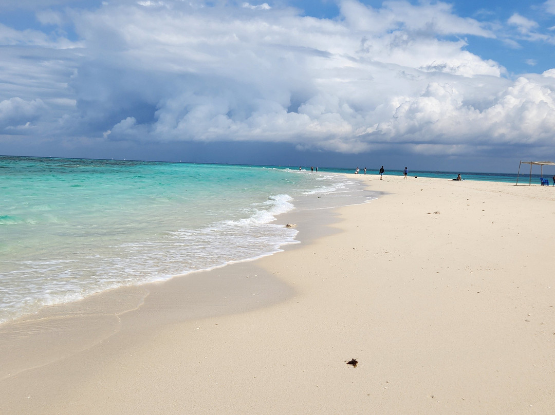 Unique Zanzibar Tours-桑给巴尔岛必去景点