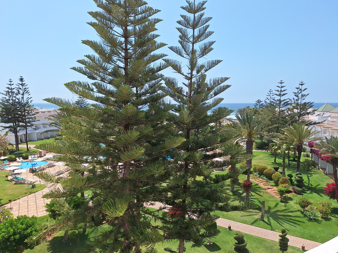 伊波罗之星度假酒店主图