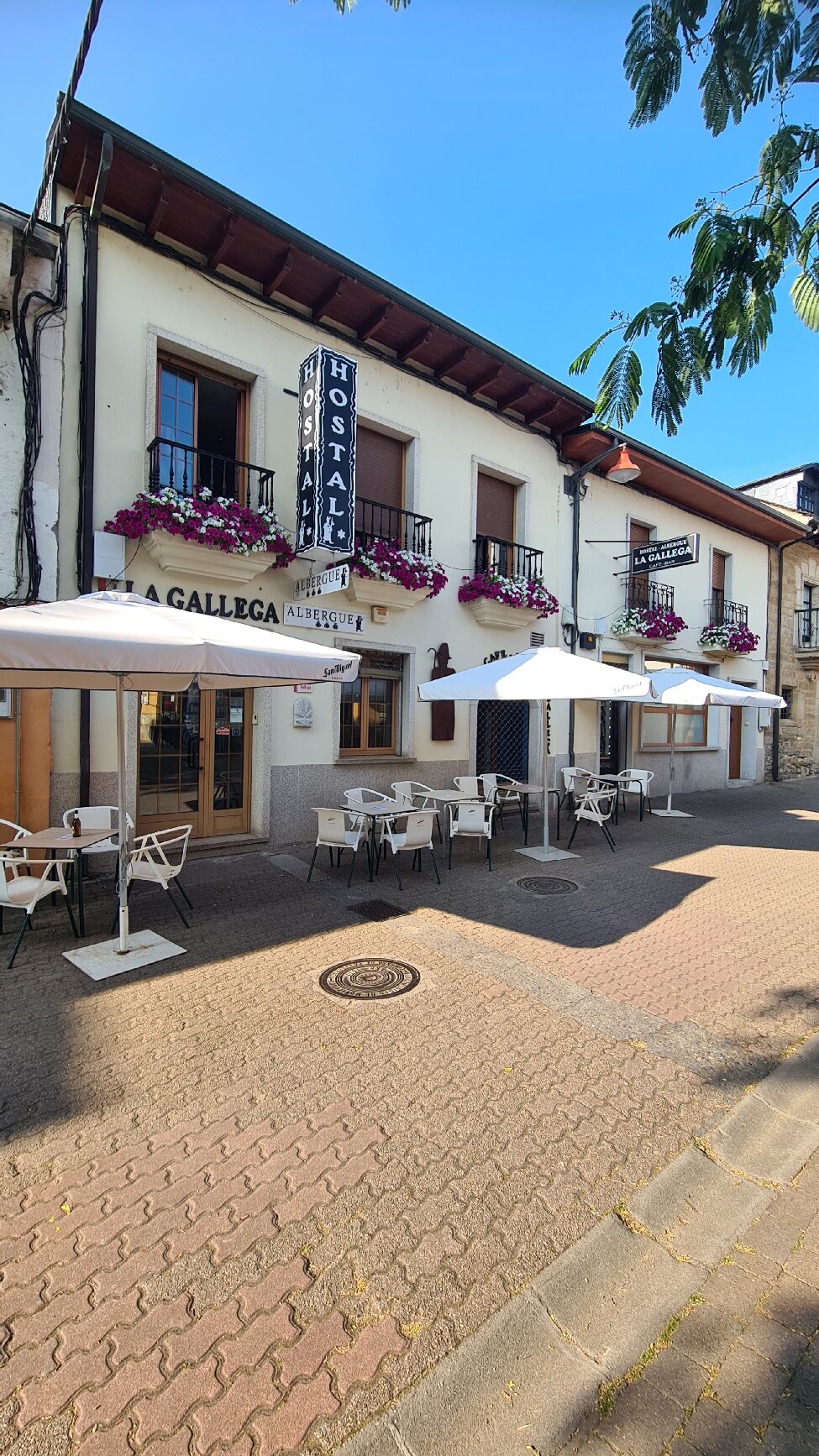Hostal la Gallega-官方