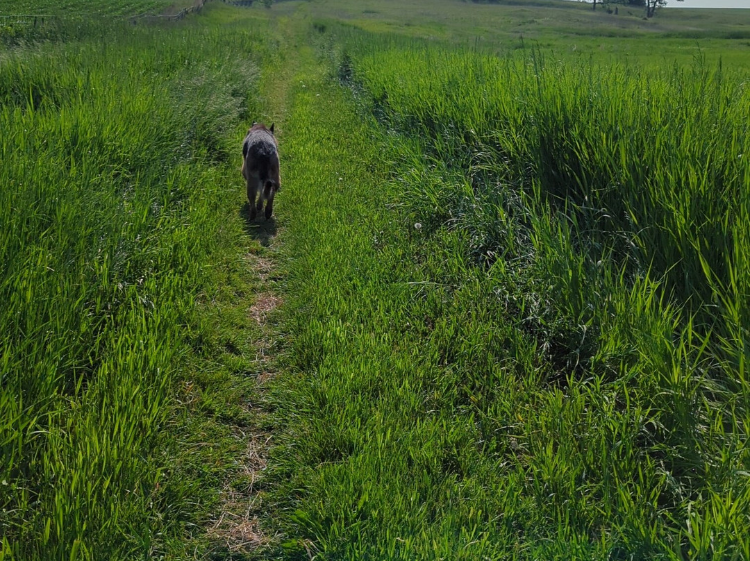 Blue Mounds State Park-Luverne必去景点