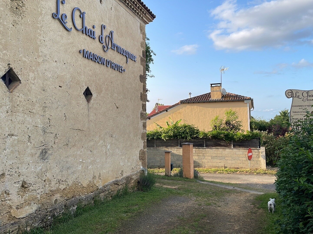 Maison d'Hotes le Chai d'Armagnac主图