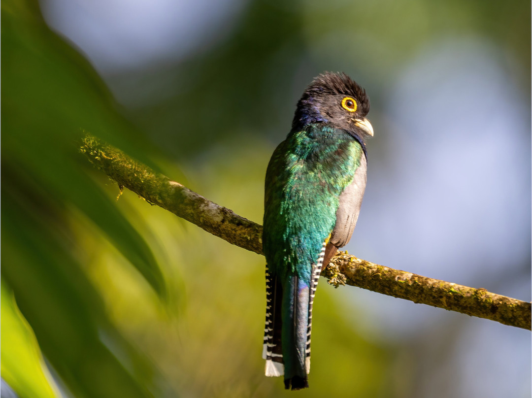 La Quinta Sarapiqui Lodge主图