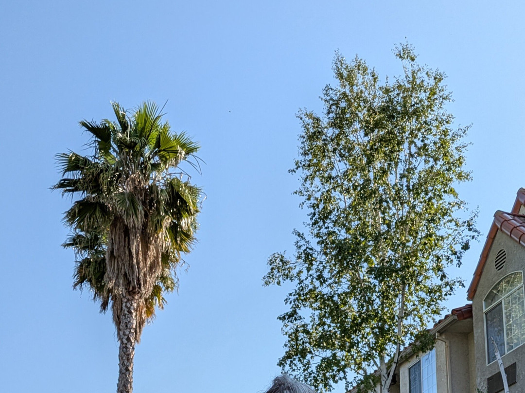 Surestay Plus Hotel By Best Western Rocklin主图