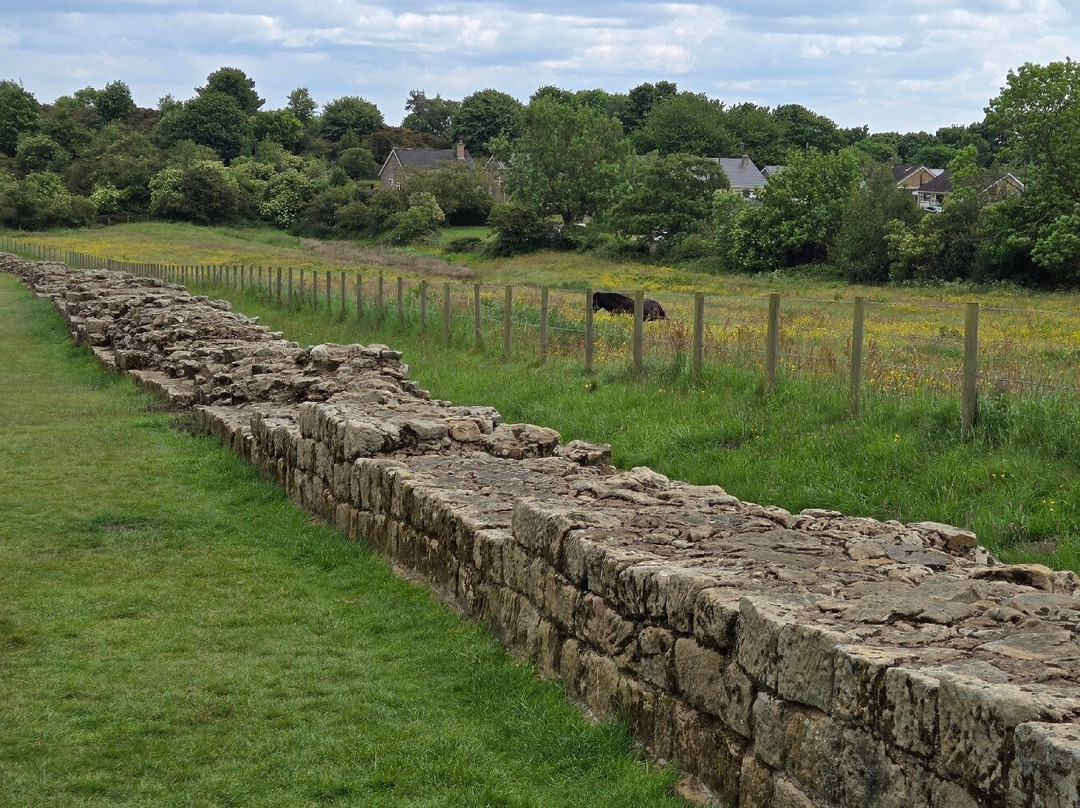 Heddon On The Wall (hadrian's Wall)景点图片