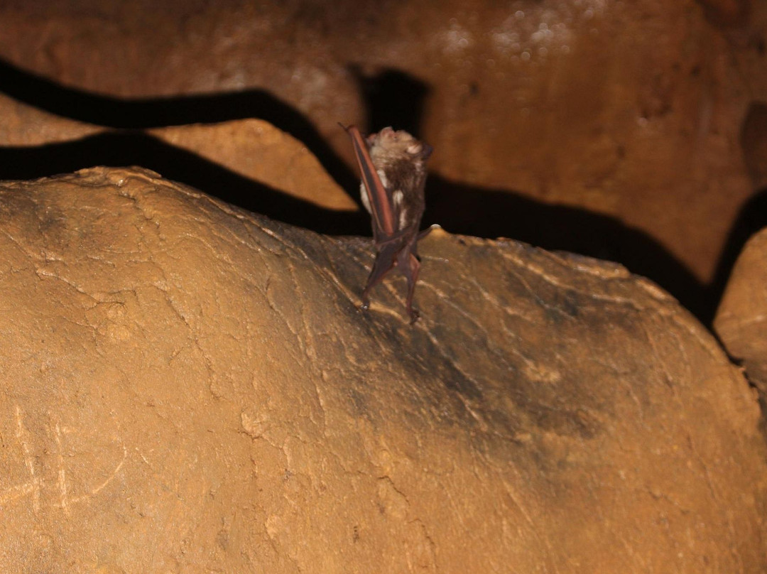 Kulabyaw Cave-达拉盖地必去景点