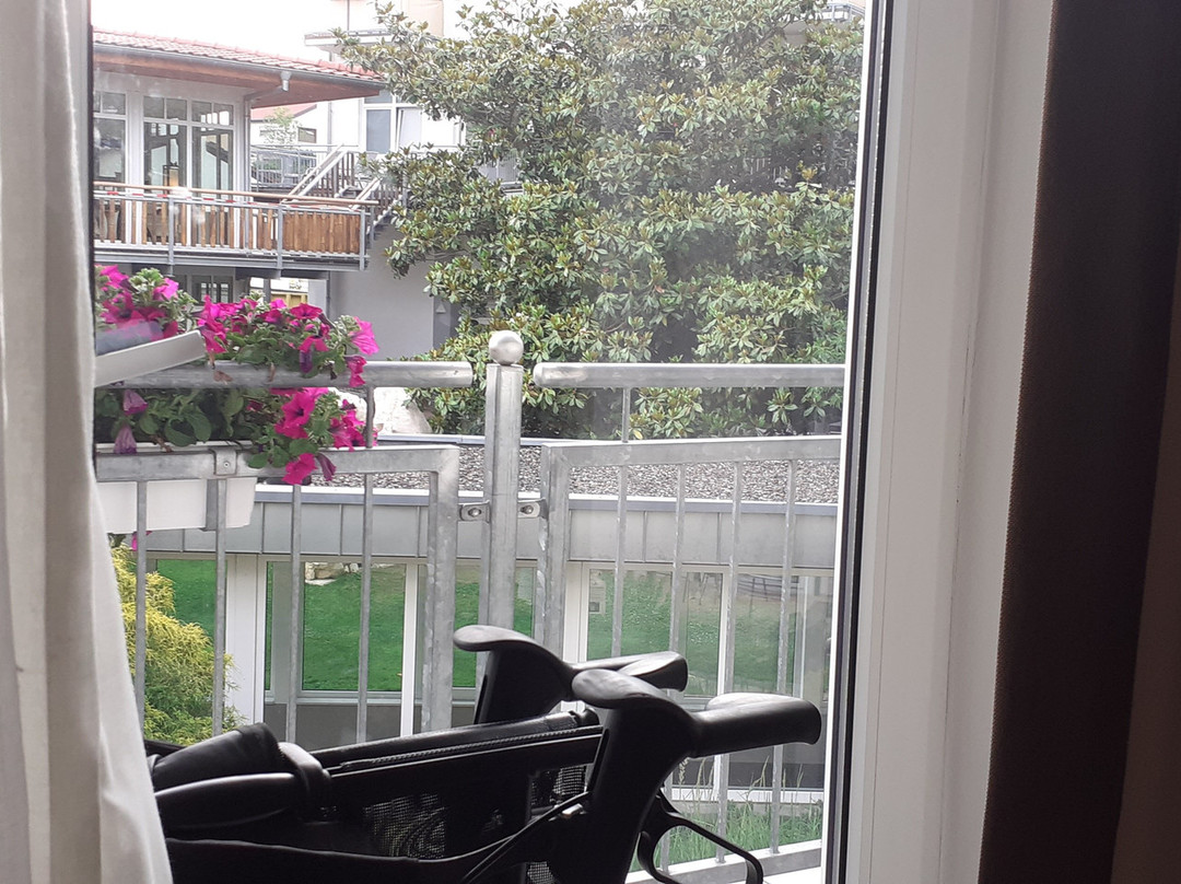 Wellness- Und Gartenhotel Heusser主图