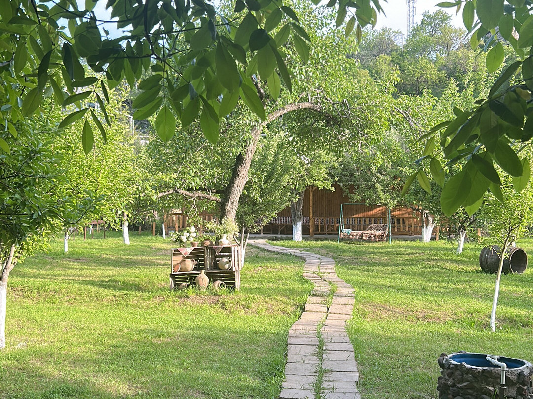 Grigoryan's Garden