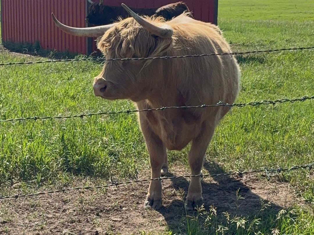 Black Hills Highlands-Spearfish必去景点