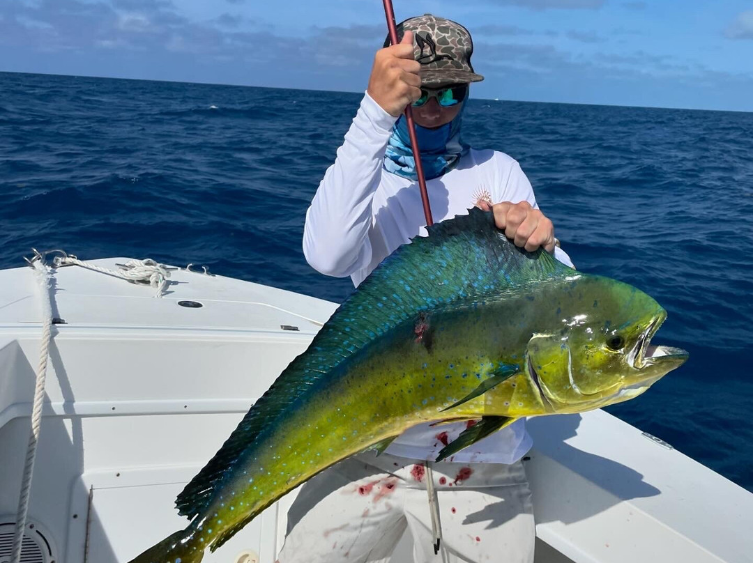 Marathon Fishing Kings-马拉松必去景点