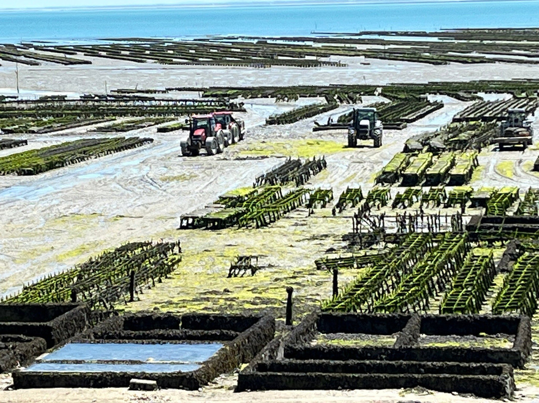 Port de le Houle-康卡勒必去景点