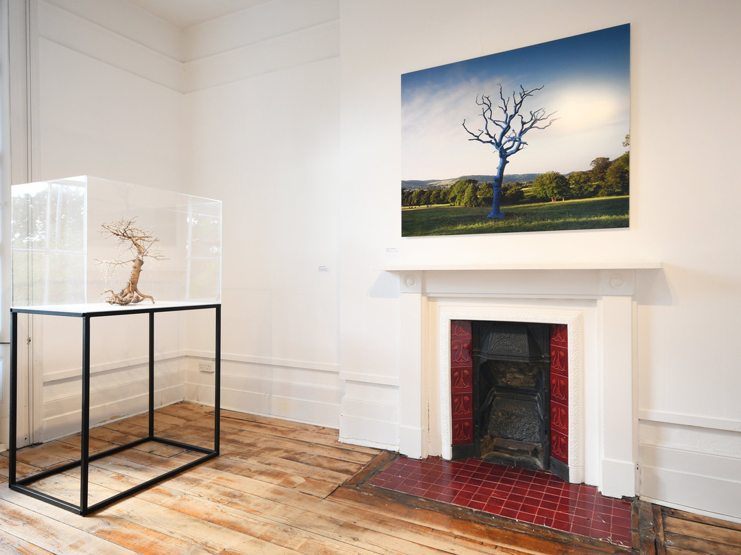 Thelma Hulbert Gallery-Honiton必去景点