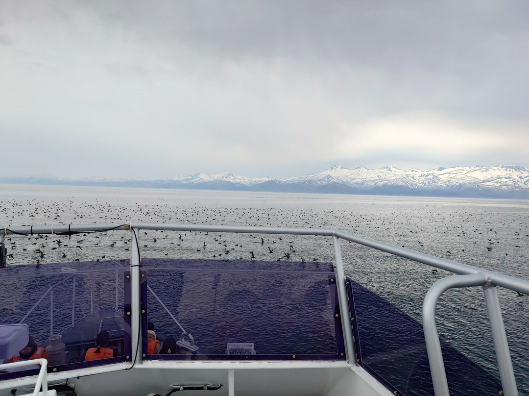 Shiretoko Nature Cruise - Day Tours-罗臼町必去景点