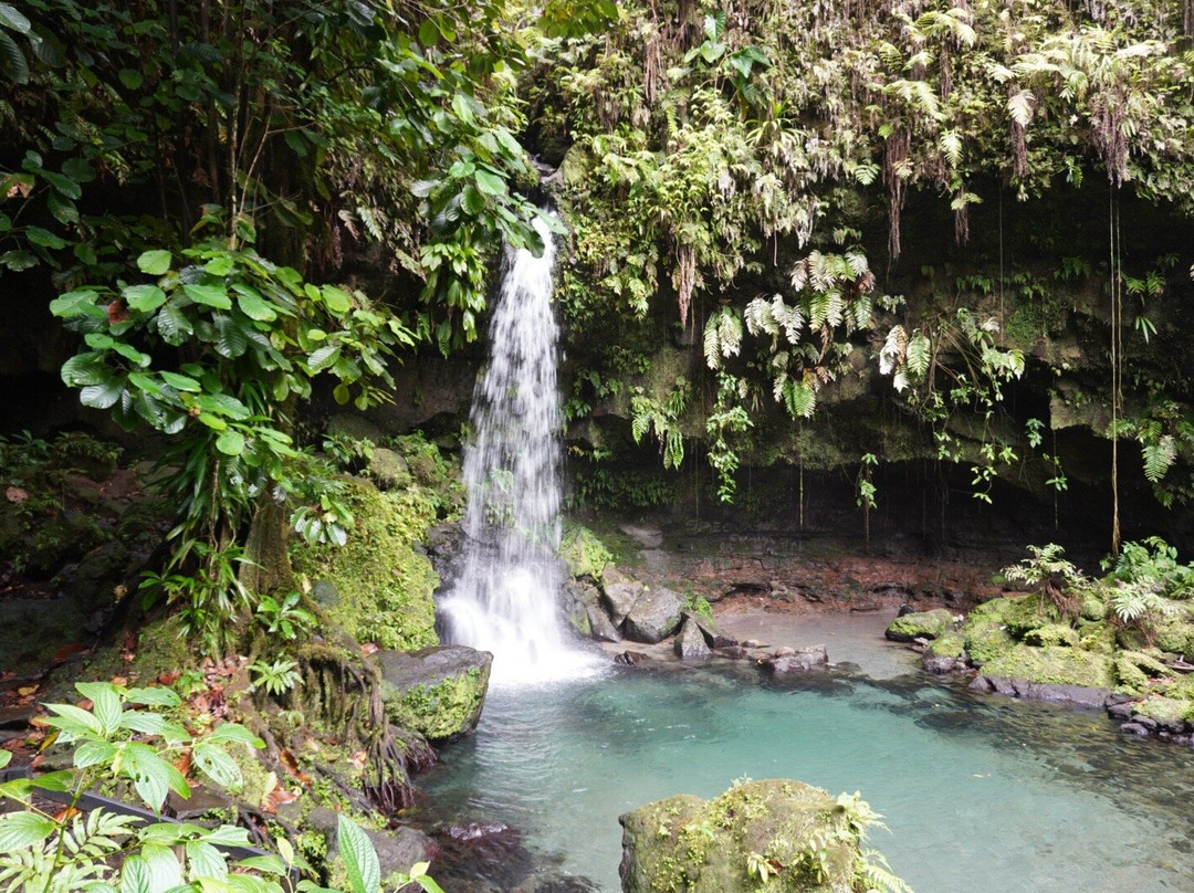 Emerald Pool-Morne Trois Pitons National Park必去景点