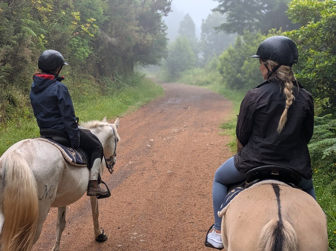 Equine Village by Quinta do Riacho-Santo da Serra必去景点