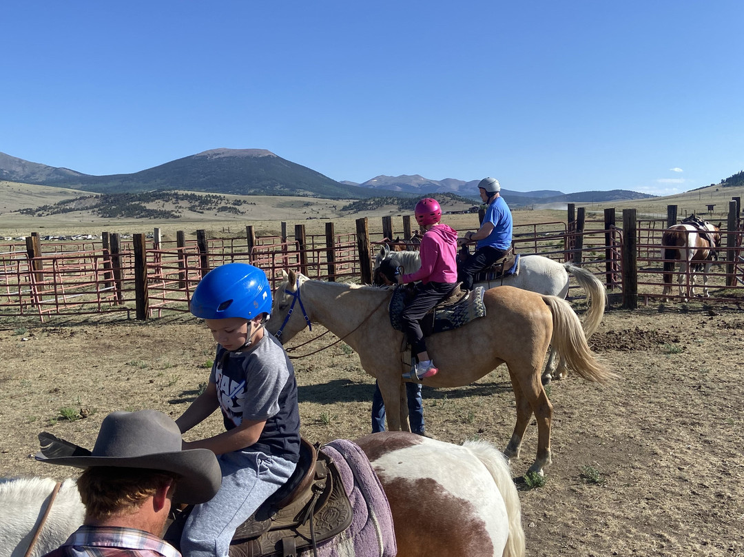 American Safari Ranch-Fairplay必去景点