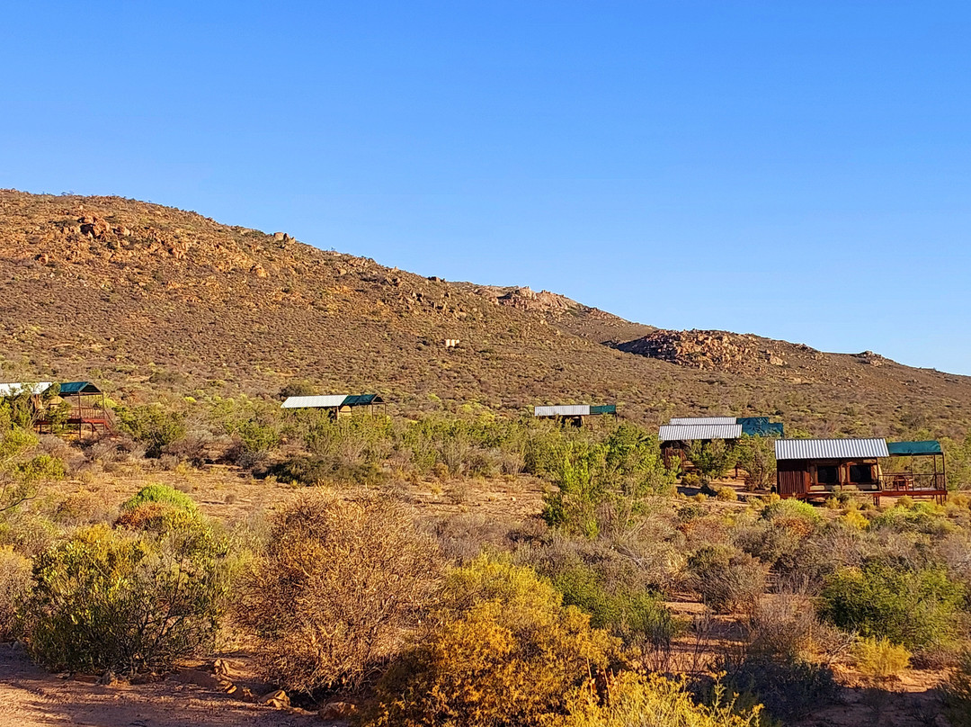Agama Tented Camp