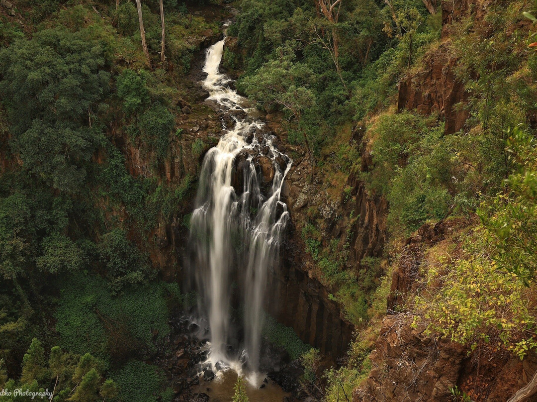 Dagg Falls Lookout-Killarney必去景点