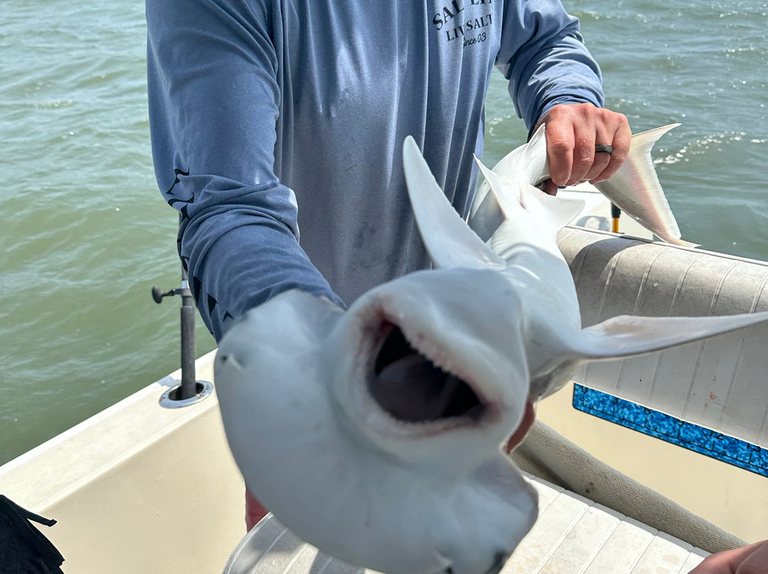 Captain Buddy's-希尔顿头岛必去景点