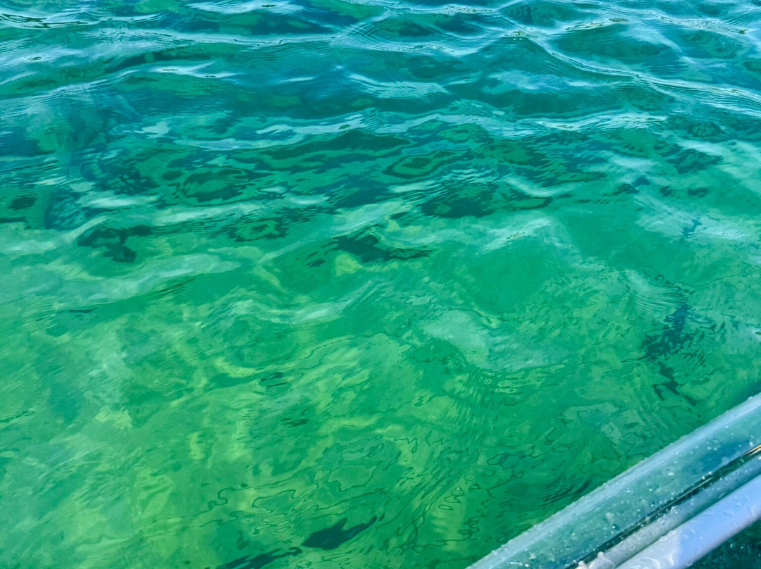 Big Tub Harbour Resort主图