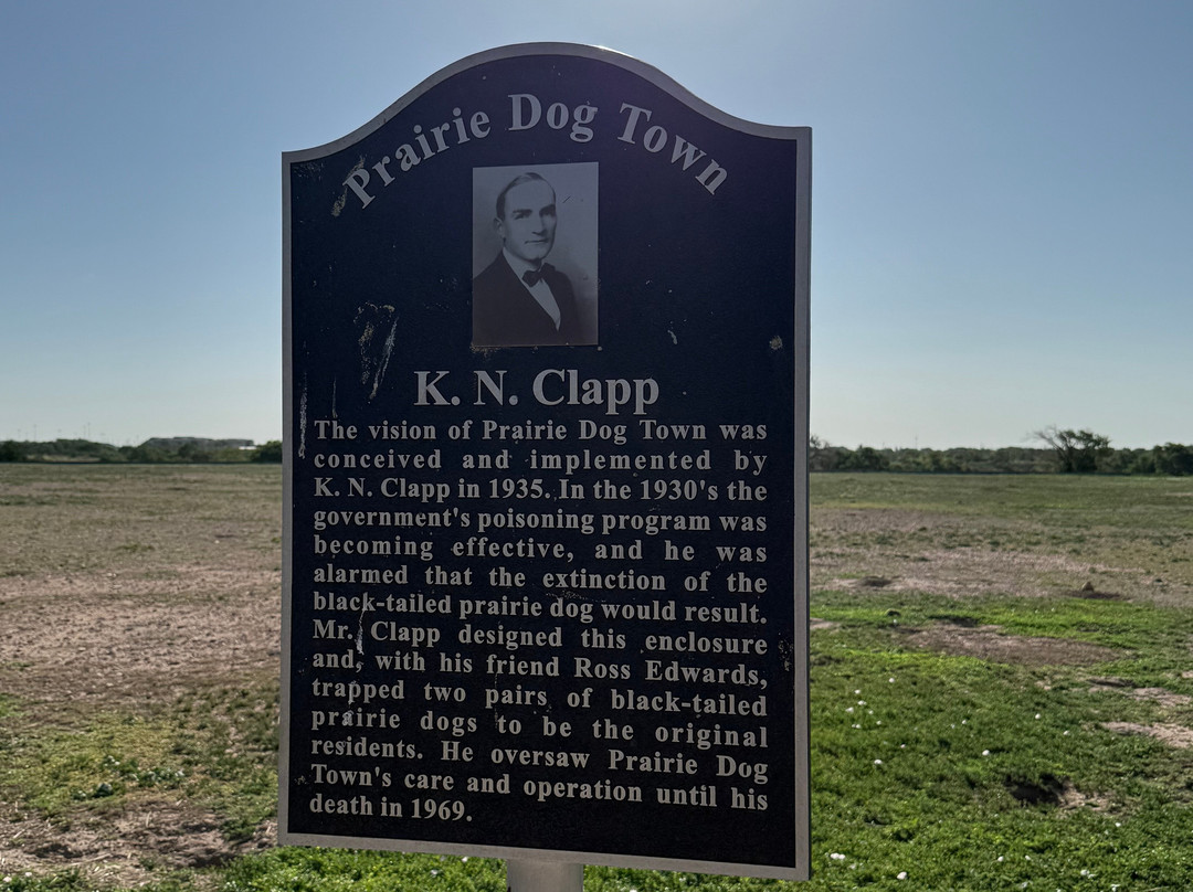 Prairie Dog Town-拉伯克县必去景点