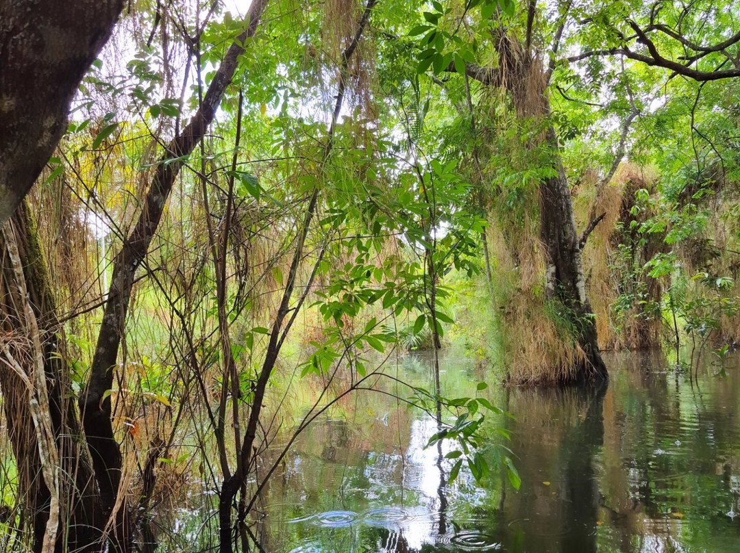 Pousada Recanto Maguary主图