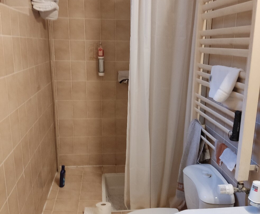 Hotel Des Vosges主图