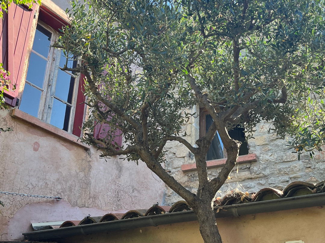 Chambres d'hôtes Le cortile主图