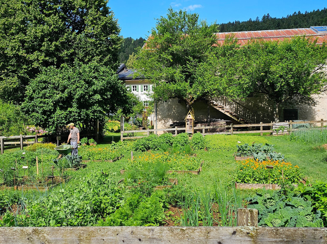 Centro Visitatori di Villa Welsperg-Tonadico必去景点