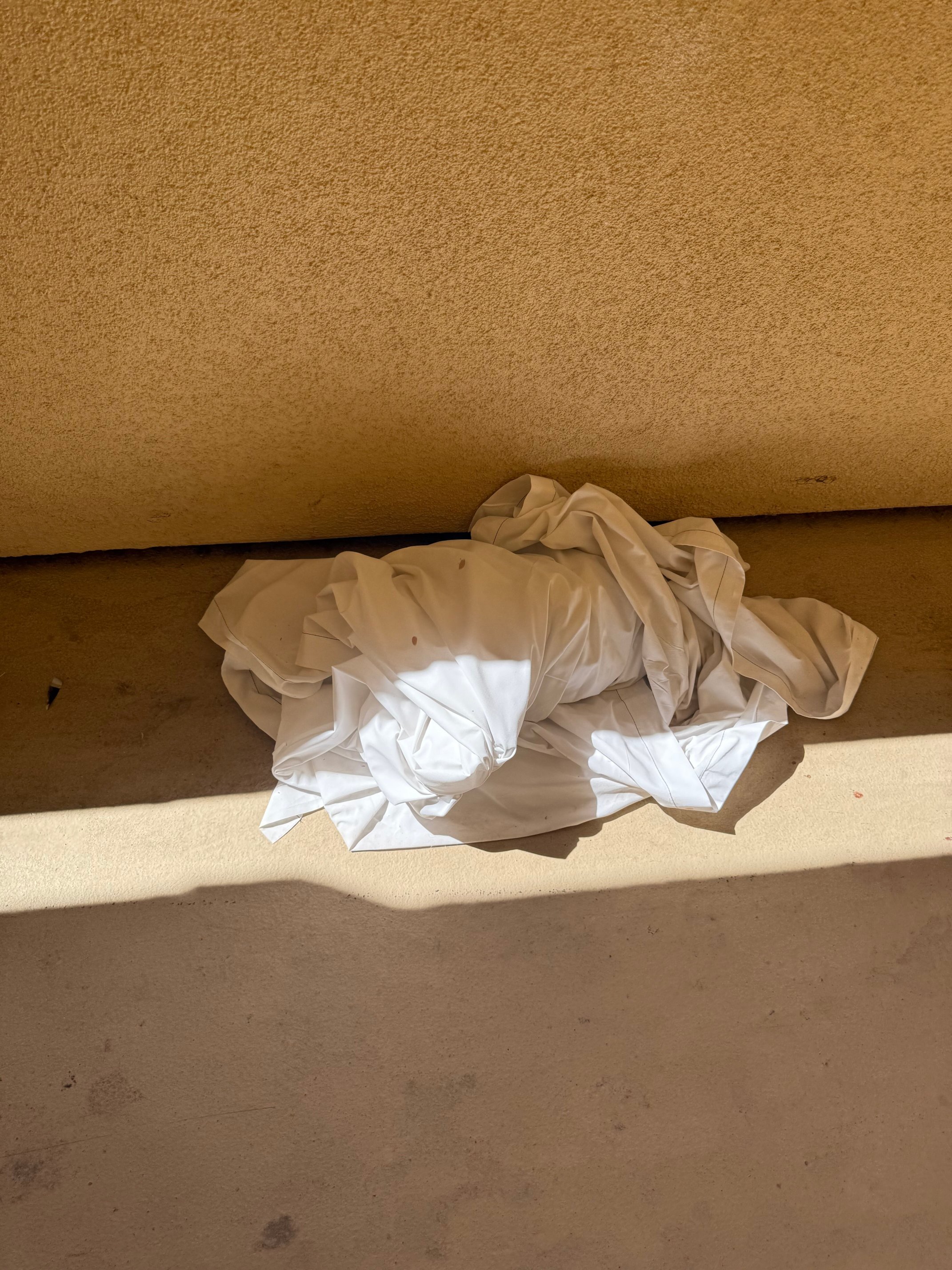 BlueWater Resort and Casino-官方