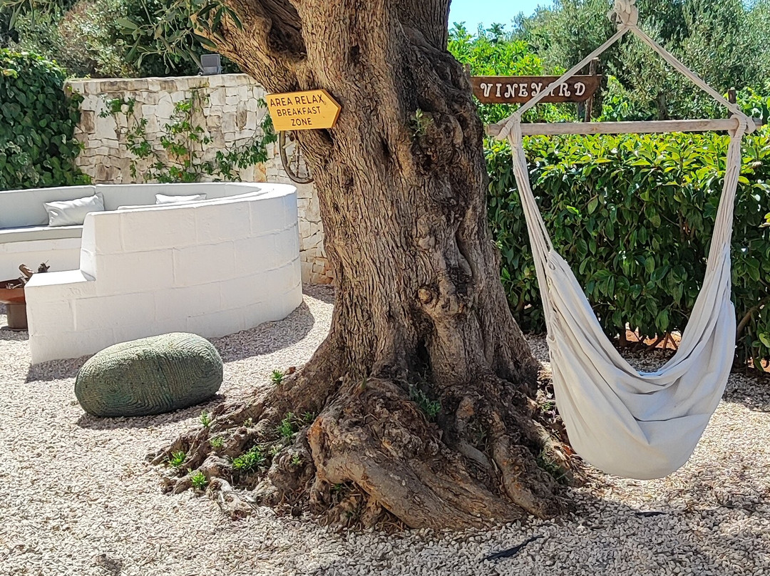 B&B Villa Mamma Grazia主图