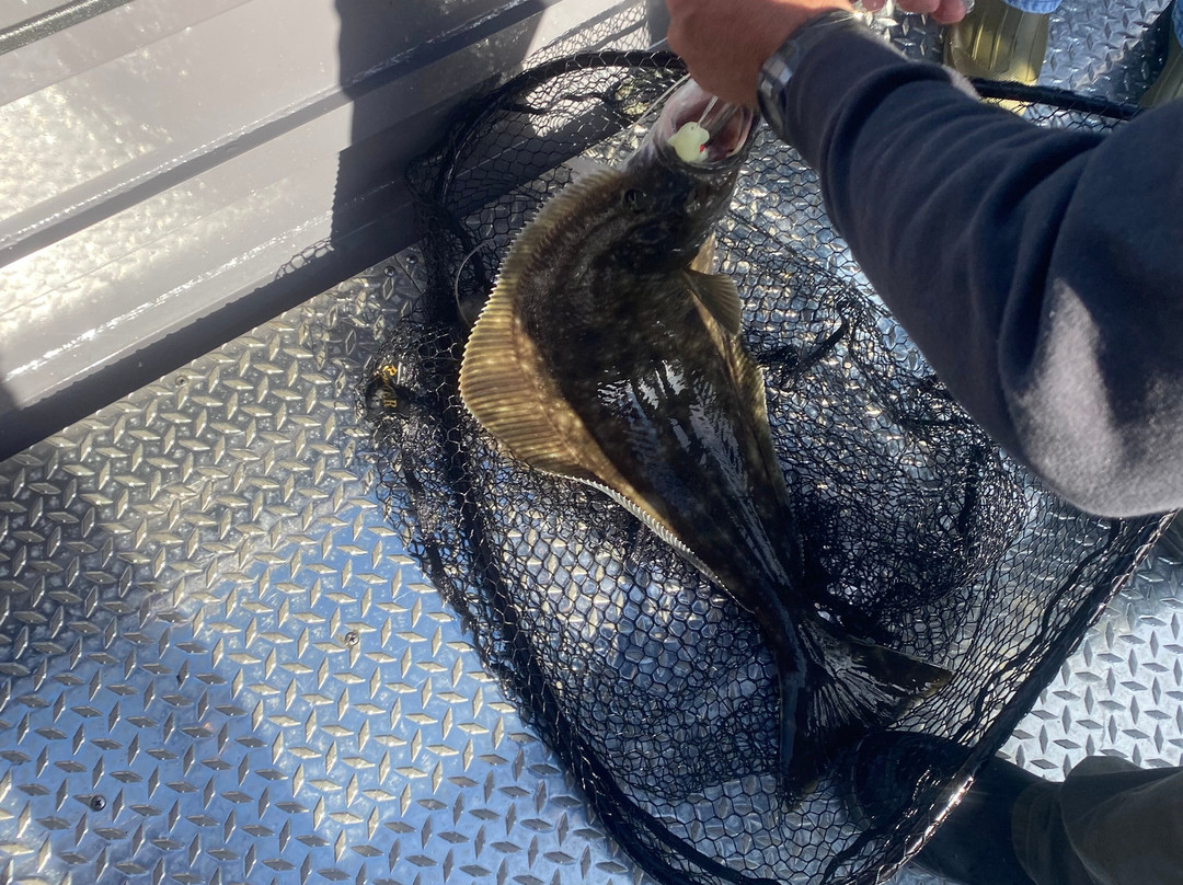 Baranof Fishing Excursions-凯奇坎必去景点