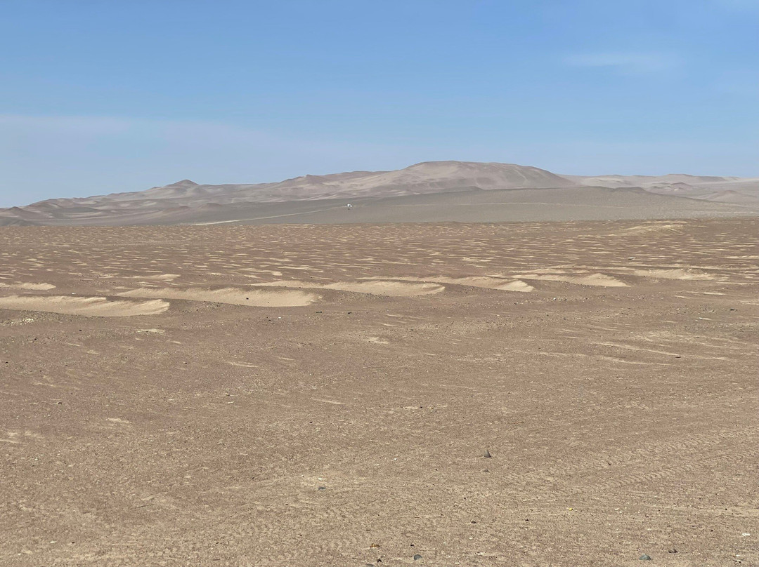 Paracas National Reserve-皮斯科必去景点