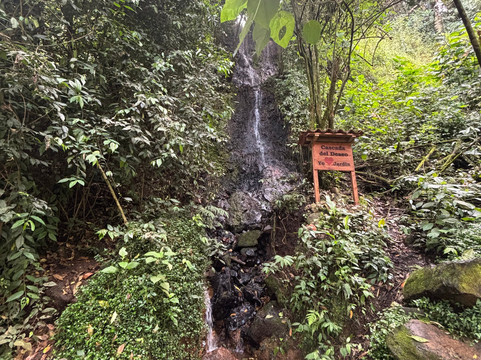 Charco Corazon主图