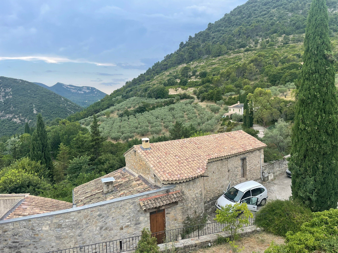 Les Colombes